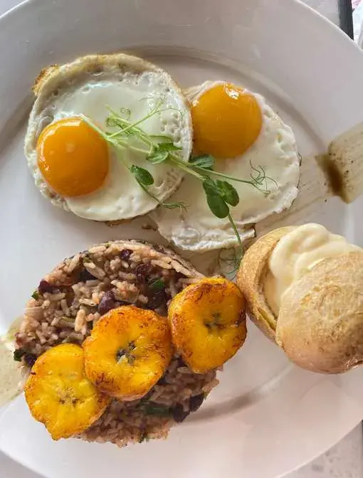 Descripción de la imagen