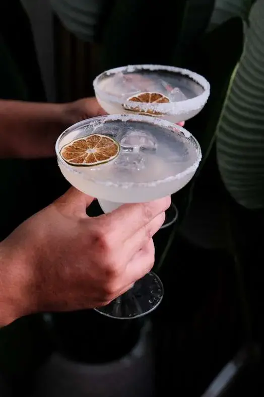 Descripción de la imagen