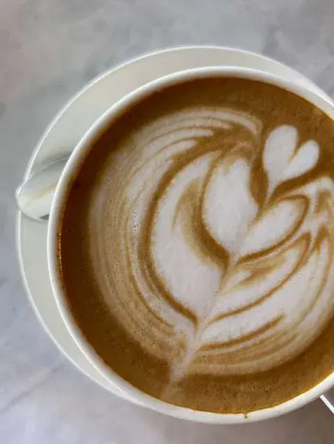 Descripción de la imagen