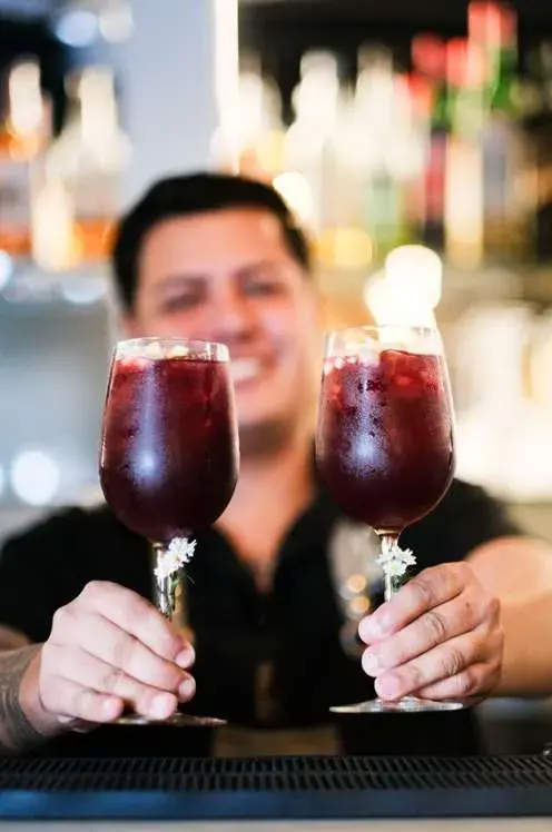 Descripción de la imagen